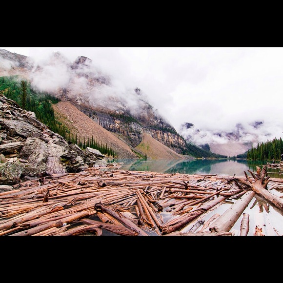 Meet your Posher, Lauren - Picture 2 of 7